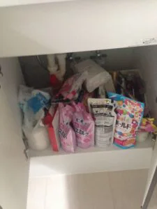 洗面所収納はストックも化粧品も一目瞭然 にする片付け 実例 片付け 整理収納依頼のおうちデトックス